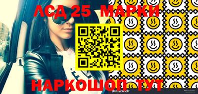 шишки Нарткала