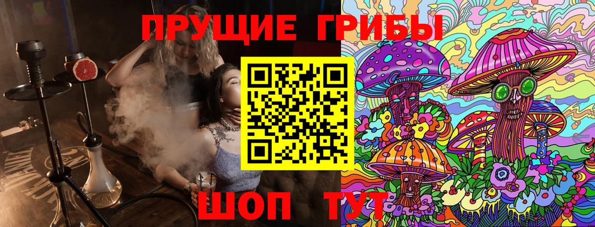 Саяногорск  Галлюциногенные грибы прущие грибы  Вход с VPN 