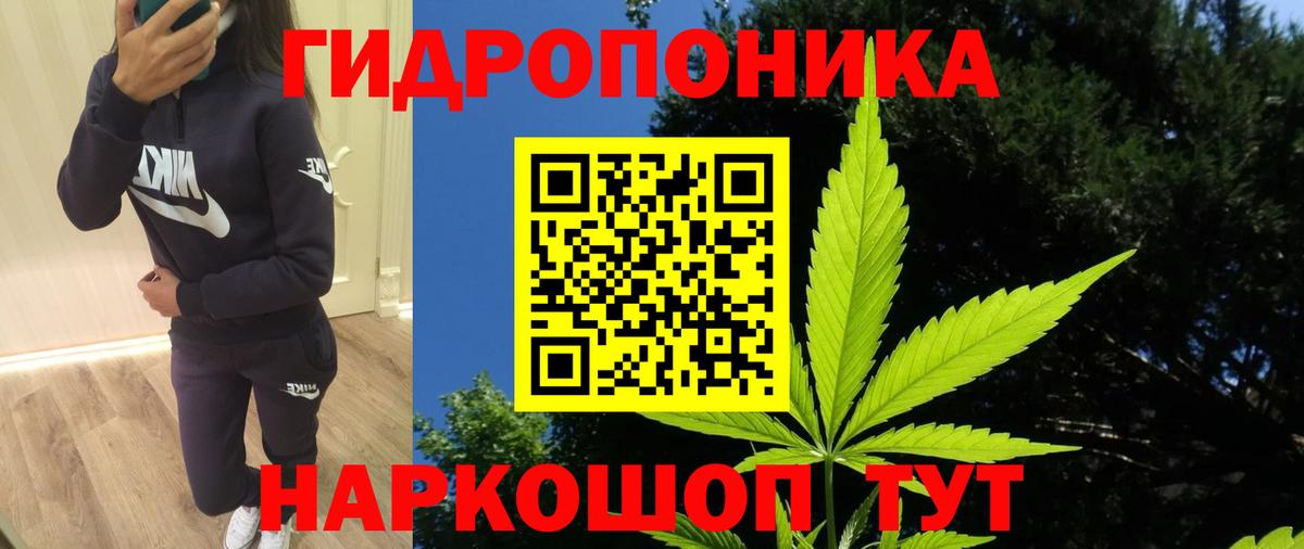МАРИХУАНА Amnesia  Вход с VPN  МАРИХУАНА планчик  Саяногорск  Конопля тримм  Бошки Шишки марихуана 